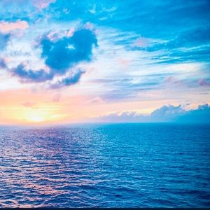 Meet your Posher, Frank